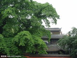 明皇城东华门济川轶事