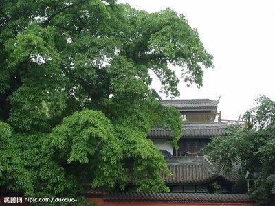 明皇城东华门济川轶事