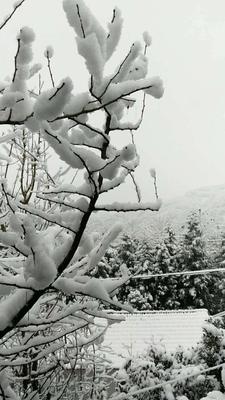 流感来袭如何应对