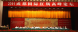 2011高峰论坛